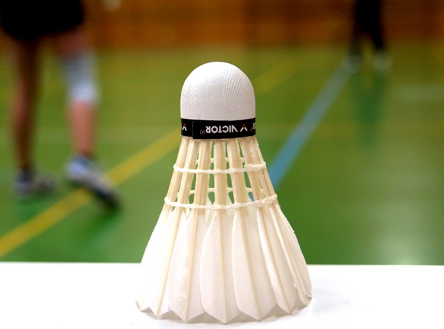 badminton 783601 640